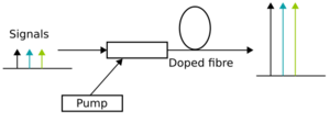 Doped fibre amplifier