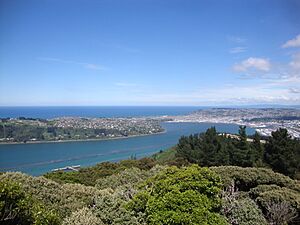 Dunedin from Signal Hill 391