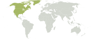 Ecozone Nearctic