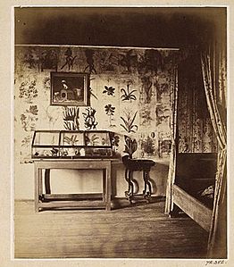 Emma Schenson - Hammarby 1864 - Linnaeus Bedroom