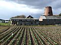 Etton Mill