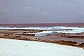 Flint Island AKK Fringing Reef