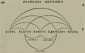 Franciscus Aguilonius color scheme