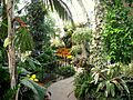 Gaiser Conservatory (Manito Park) - IMG 6982