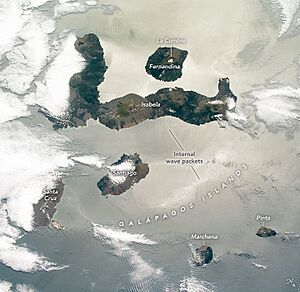 Galapagos Islands astronaut photo from ISS 2020