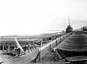 Gillnets on racks, Nushagak, Alaska, 1917 (COBB 26)