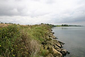 Grafham Water - geograph.org.uk - 536564