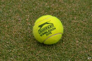 Grass court season is here! (18161963964)