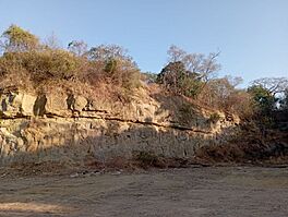 Guadalupe Formation at Caysio, Santa Maria, Bulacan