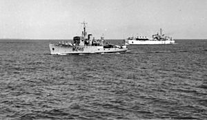 HMAS Fremantle and HMS Narvik