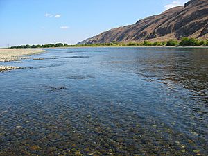 Hanford Reach