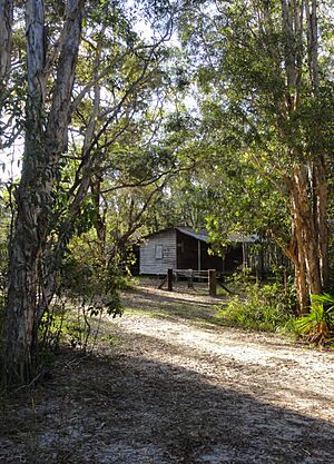 Harry's Hut - panoramio