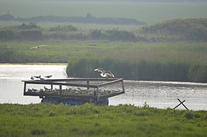 Holland Haven Country Park - view from bird hide 2.jpg