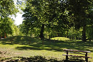 INDIAN MOUNDS IN CENTRAL PARK