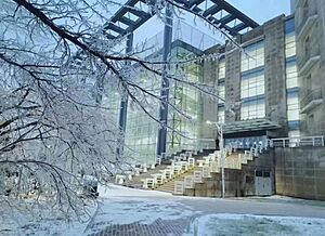JLU library