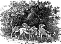 John & Thomas Bewick. Image from The Chase by William Somervile. 1802 04
