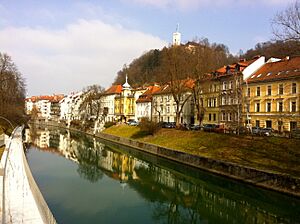 Ljubljana - Gallusovo nabrežje in Ljubljanica - 2011-02-02
