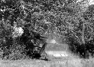 M4 Sherman Tank Mounted with M1 Bulldozer through hedge