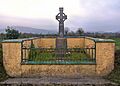 Martinstown (Limerick) 020312-6