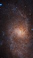 Messier33 - HST - Heic1901a