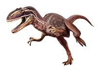 Metriacanthosaurus.jpg