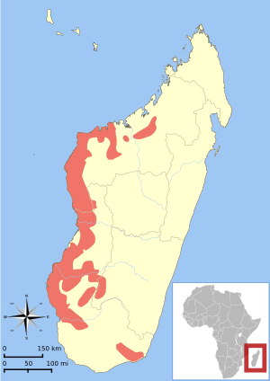 Map of Madagascar off the African coast, showing a highlighted range (in red) mostly along the west coast, a small region in the southeast, and a questionable area in the south.