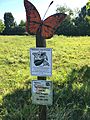 Monarch Butterfly waystation sign
