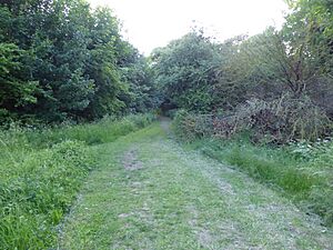 Moreton Hall Community Woods 6