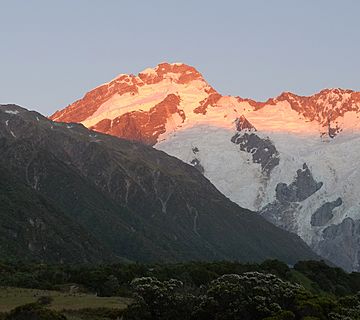 Mount Sefton (cropped) at sunrise.jpg