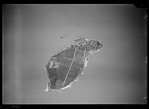 NIMH - 2011 - 0513 - Aerial photograph of Urk, The Netherlands - 1920 - 1940