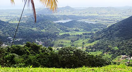 Naguabo - Rio Blanco offstream reservoir IMG 1682
