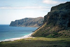 Niihau cliffs aerial