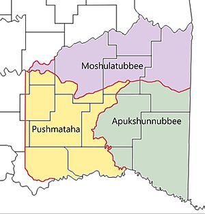Old Choctaw Nation Districts
