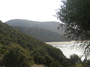 Parcichkeul3