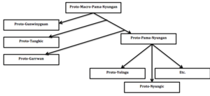Proto-Macro-Pama-Nyungan languages diagram