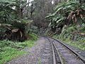 Puffing Billy Railway Line Closeup