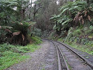 Puffing Billy Railway Line Closeup