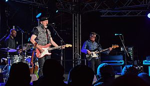 Richard Thompson Electric Trio, Towersey 2018