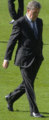 Roy Hodgson