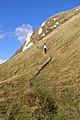 Smugglers path white nothe dorset