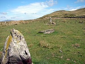 Standing Stones - geograph.org.uk - 216596