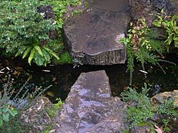 Stepping Stones in Japanese Gardens