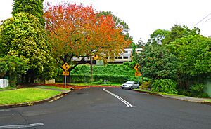 Strickland Avenue, Lindfield, New South Wales (2011-04-28) 02
