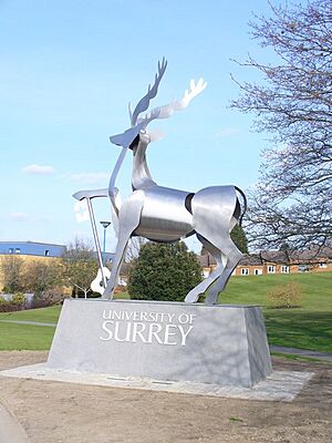 Surrey University Geograph-1215999-by-Colin-Smith