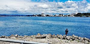 Tauranga strand & fisherman 2017