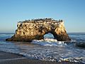 USA-Santa Cruz-Natural Bridges State Beach-4.jpg