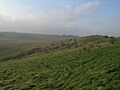 View towards Cherhill Down - geograph.org.uk - 300055