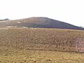 White Caterthun Hill Fort from Brown Caterthun - geograph.org.uk - 936081