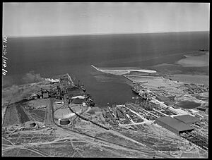 Wyalla SLNSW FL20820767