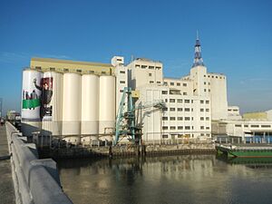 0874jfCircumferential Road 47 Flour Mills Highway Boundary Pasig Makati Bridge River Cityfvf